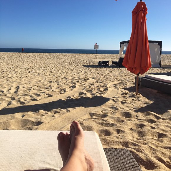 Meet your Posher, Amie - Picture 1 of 1